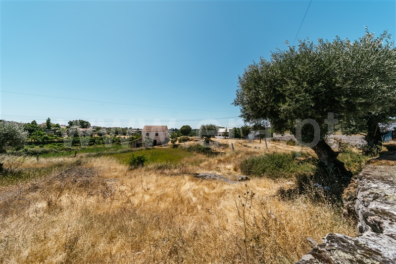 Quinta  Seia, Paranhos - 1490977 - 6