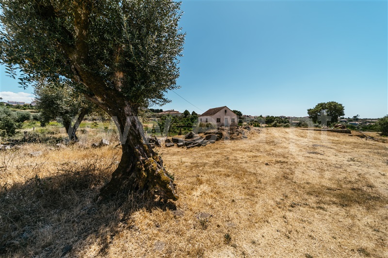 Quinta  Seia, Paranhos - 1490977 - 9