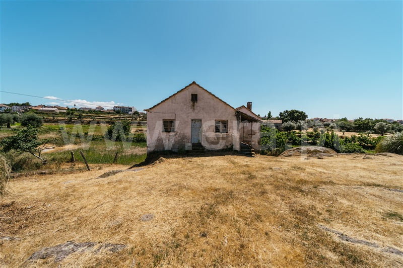 Quinta  Seia, Paranhos - 1490977 - 10
