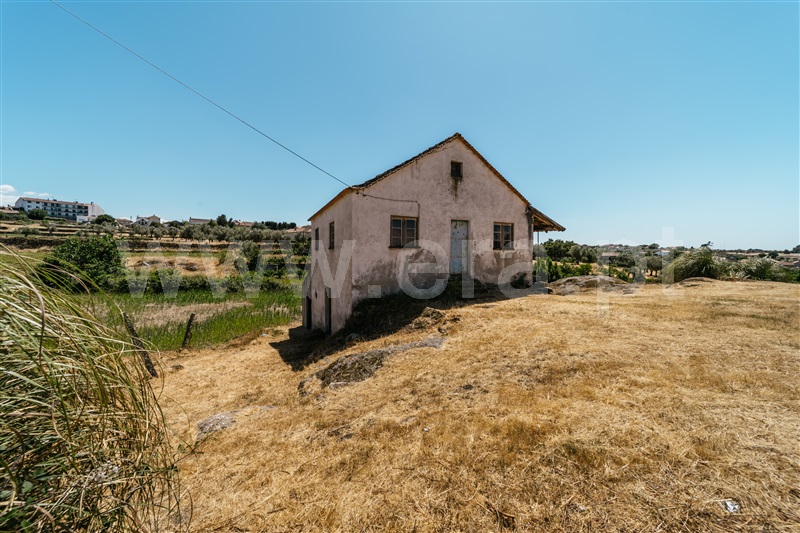 Quinta  Seia, Paranhos - 1490977 - 11