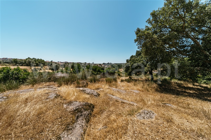 Quinta  Seia, Paranhos - 1490977 - 13