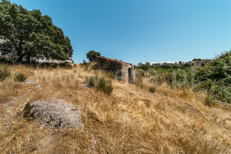Quinta  Seia, Paranhos - 1490977 - 14