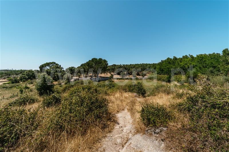 Quinta  Seia, Paranhos - 1490977 - 15