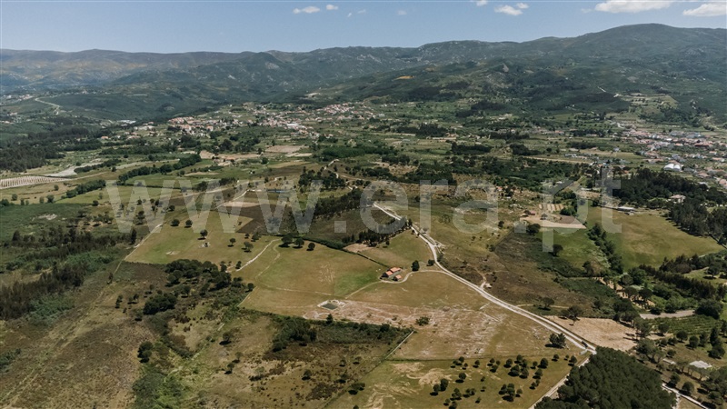 Quinta  Seia, Pinhanços - 1409821 - 3