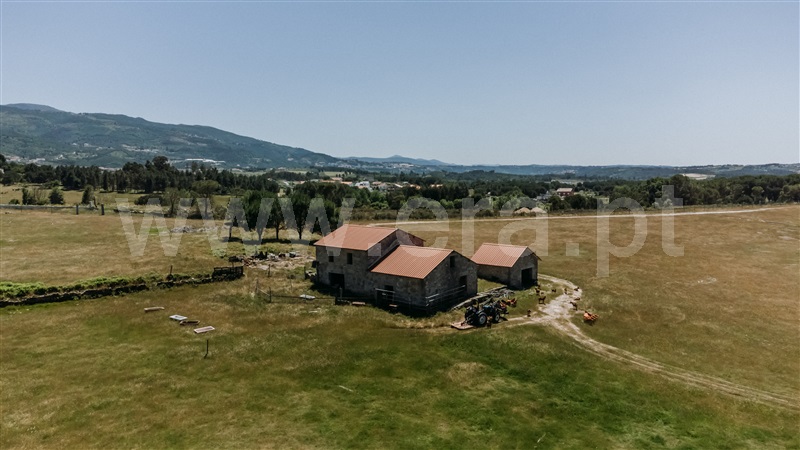Quinta  Seia, Pinhanços - 1409821 - 10