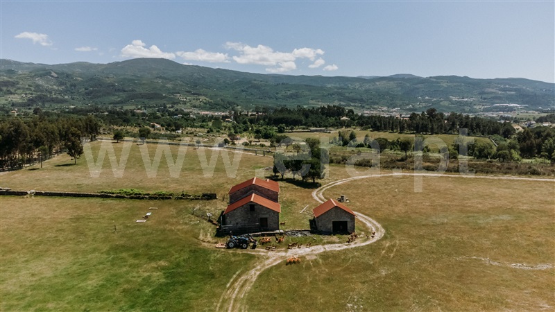Quinta  Seia, Pinhanços - 1409821 - 11