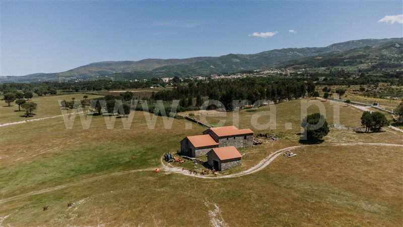 Quinta  Seia, Pinhanços - 1409821 - 12