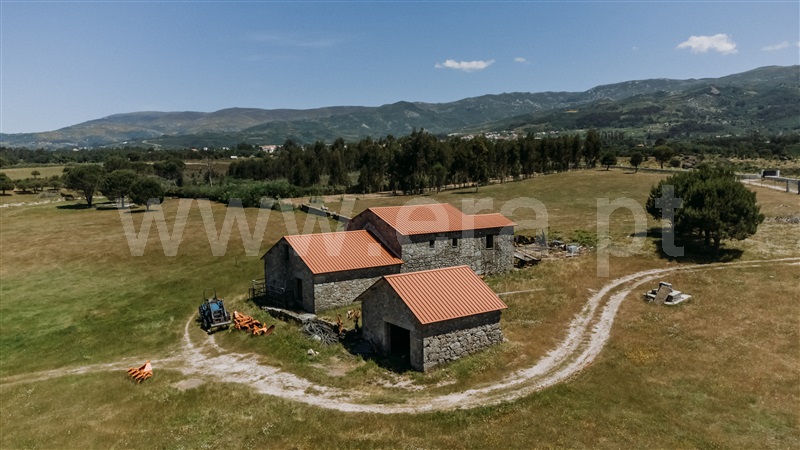Quinta  Seia, Pinhanços - 1409821 - 13