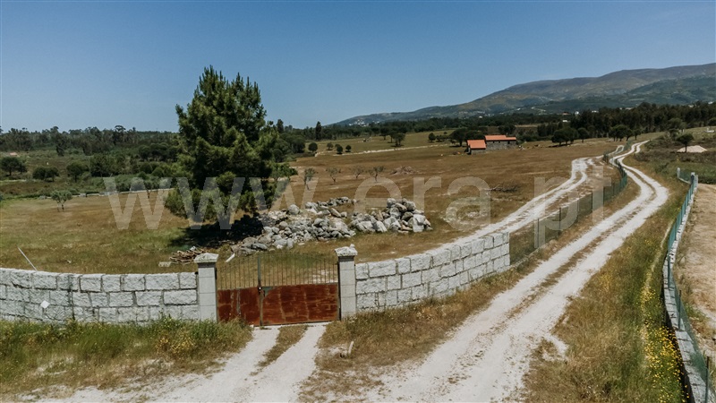 Quinta  Seia, Pinhanços - 1409821 - 15