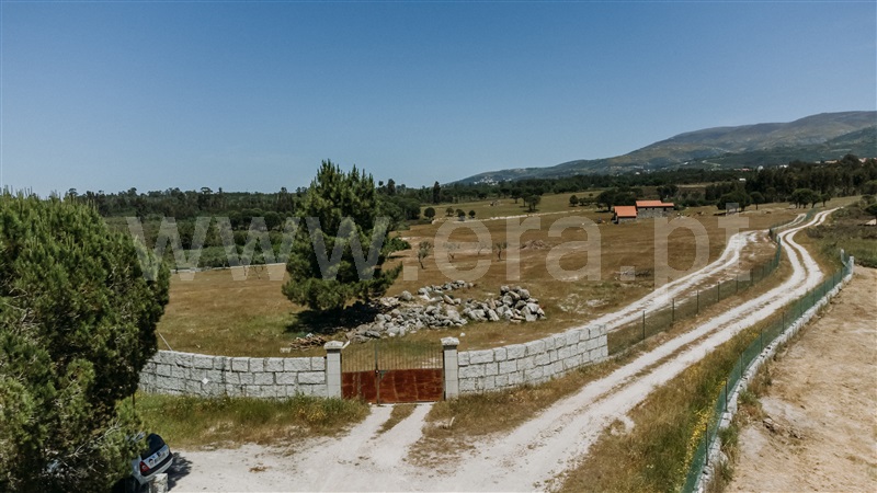 Quinta  Seia, Pinhanços - 1409821 - 16