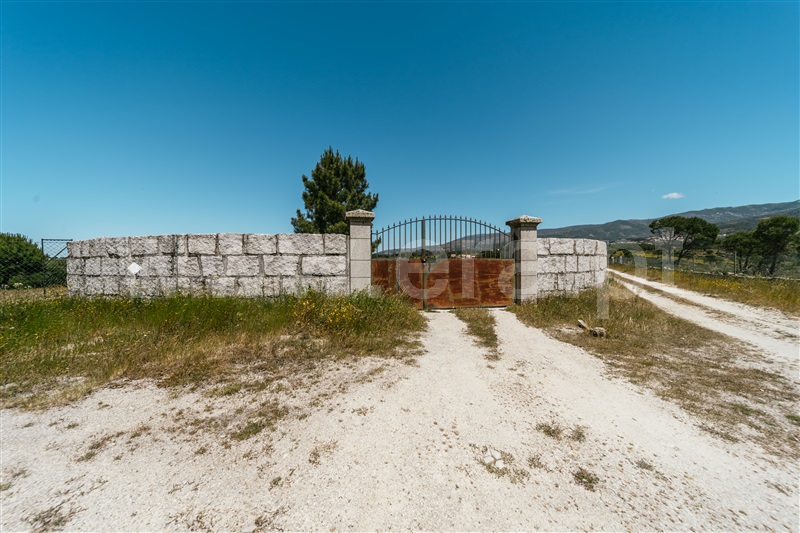 Quinta  Seia, Pinhanços - 1409821 - 17