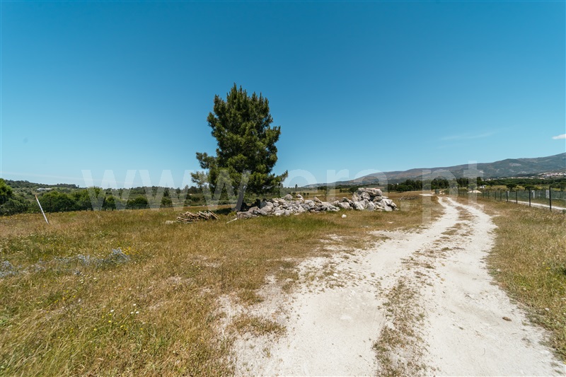Quinta  Seia, Pinhanços - 1409821 - 18