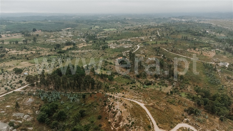 Quinta  Seia, Sameice e Santa Eulália - 1427631 - 3
