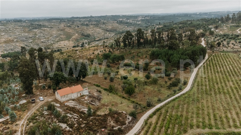 Quinta  Seia, Sameice e Santa Eulália - 1427631 - 5