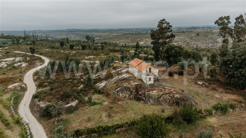 Quinta  Seia, Sameice e Santa Eulália - 1427631 - 6
