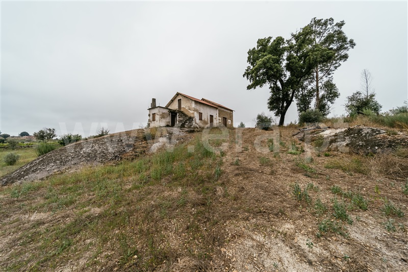 Quinta  Seia, Sameice e Santa Eulália - 1427631 - 9