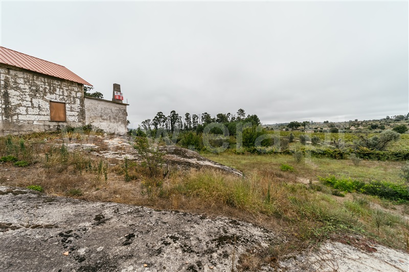 Quinta  Seia, Sameice e Santa Eulália - 1427631 - 12