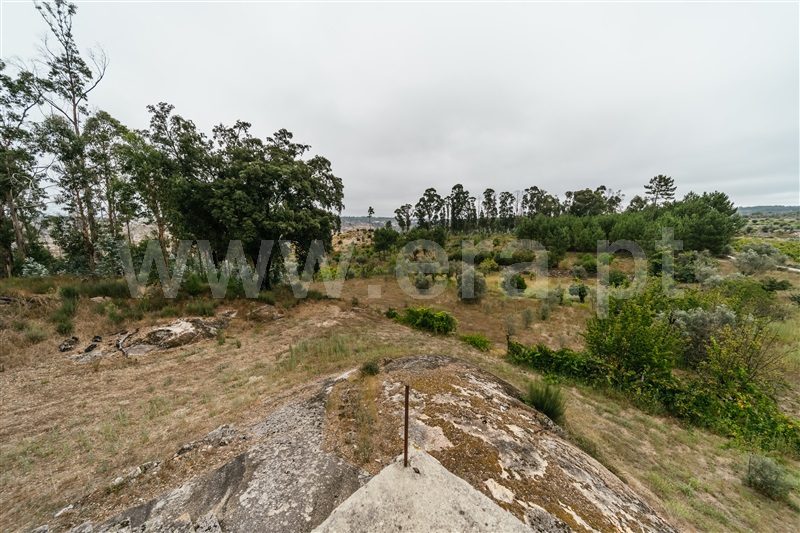 Quinta  Seia, Sameice e Santa Eulália - 1427631 - 13