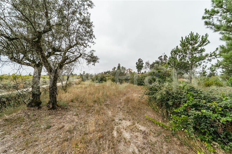 Quinta  Seia, Sameice e Santa Eulália - 1427631 - 15