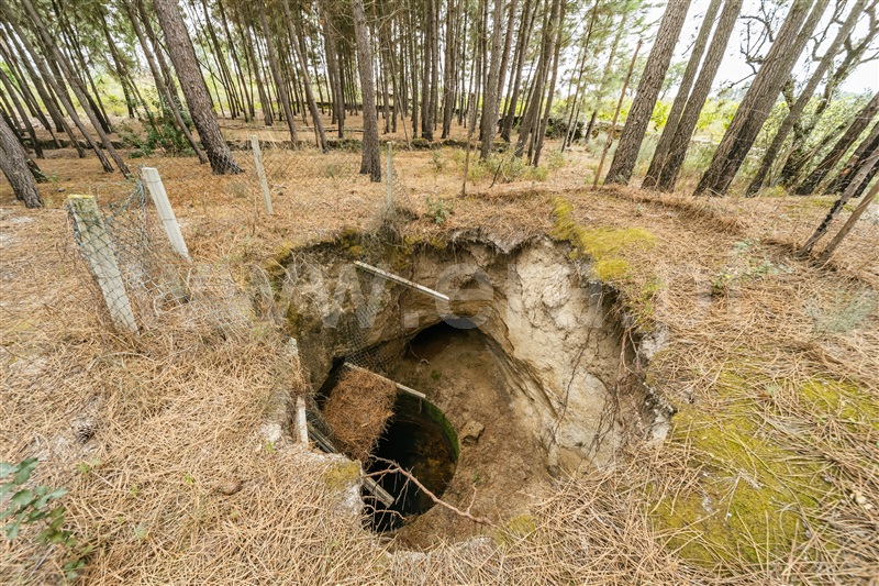 Quinta  Seia, Sameice e Santa Eulália - 1427631 - 16