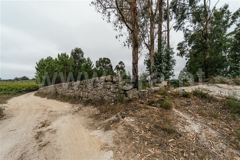 Quinta  Seia, Sameice e Santa Eulália - 1427631 - 18