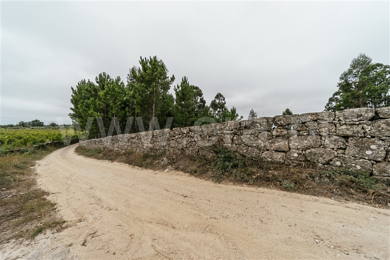 Quinta  Seia, Sameice e Santa Eulália - 1427631 - 19