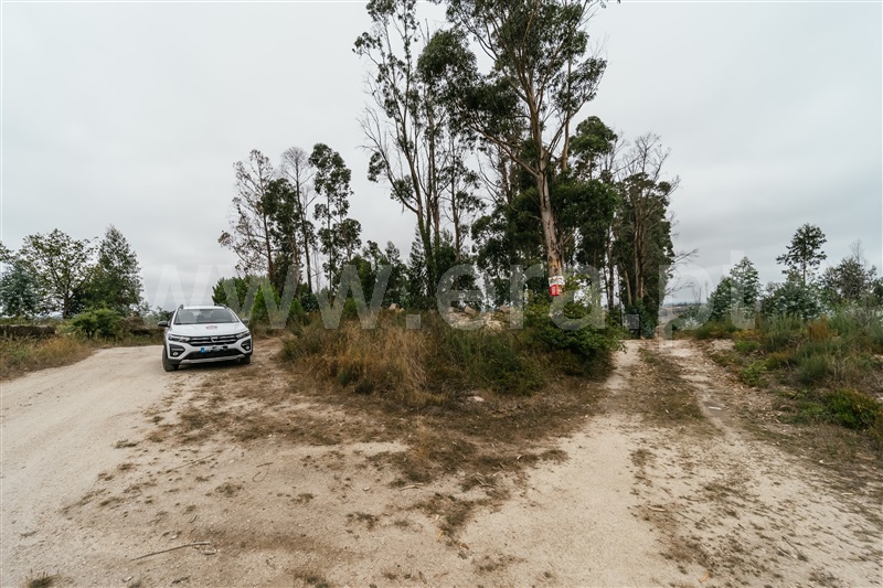 Quinta  Seia, Sameice e Santa Eulália - 1427631 - 20