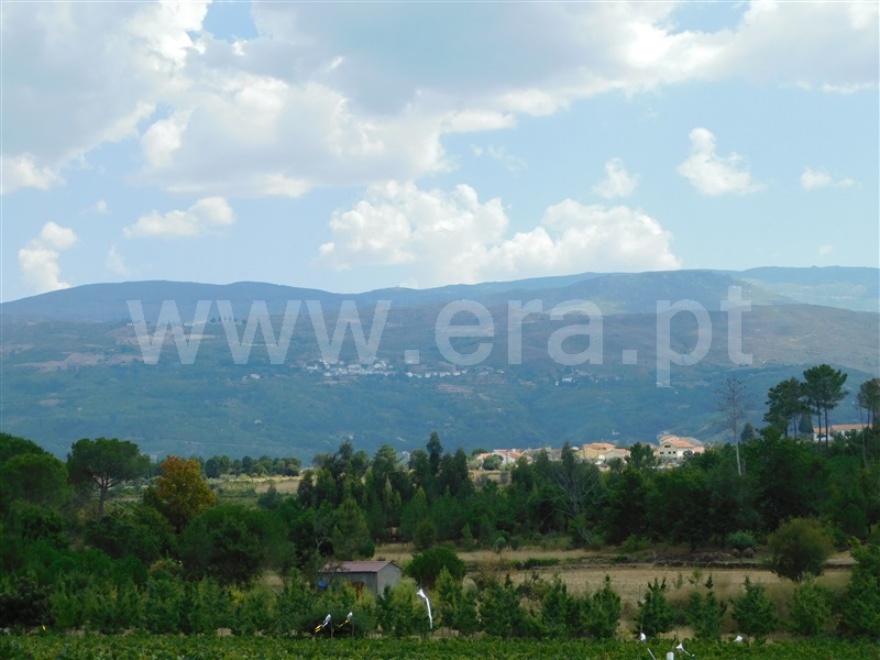 Quinta  Seia, Santa Comba - 1270994 - 7