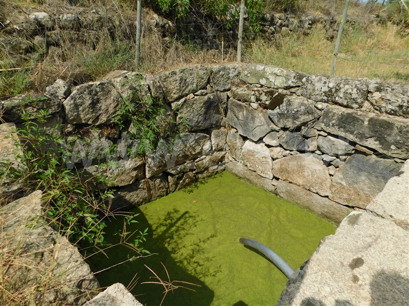 Quinta  Seia, Santa Comba - 1270994 - 15