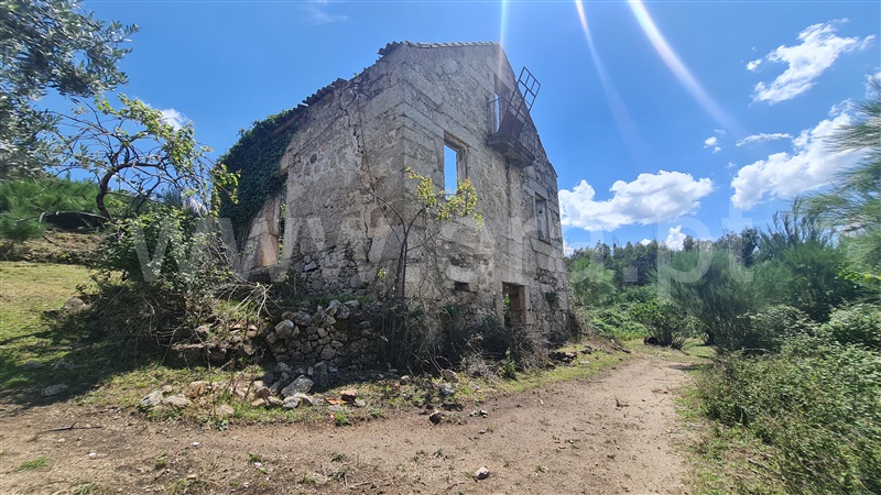 Quinta  Seia, Santa Marinha e São Martinho - 1320409 - 12