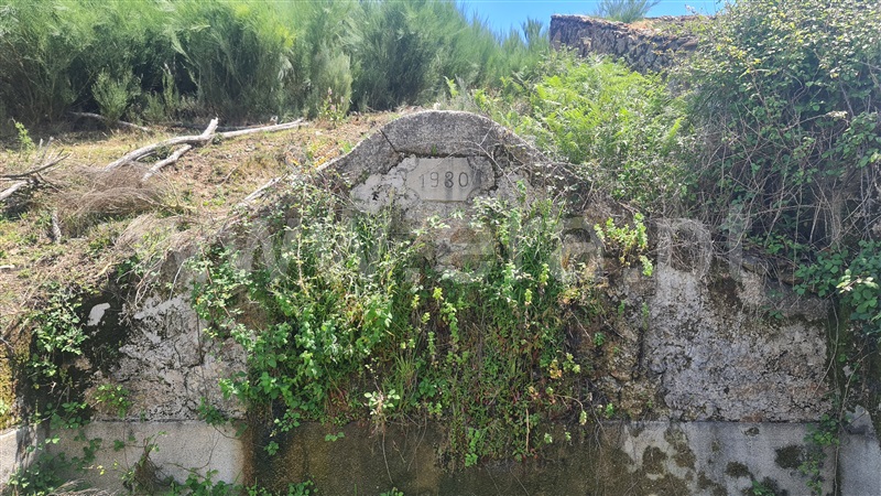 Quinta  Seia, Santa Marinha e São Martinho - 1320409 - 13