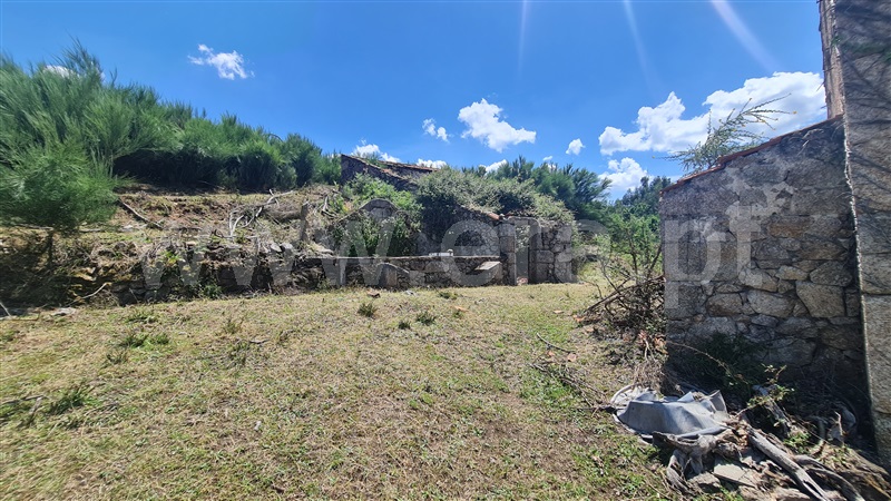 Quinta  Seia, Santa Marinha e São Martinho - 1320409 - 14