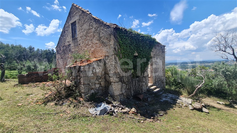 Quinta  Seia, Santa Marinha e São Martinho - 1320409 - 19
