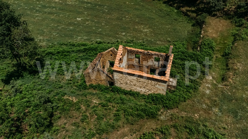 Quinta  Seia, Santiago - 1024023 - 3