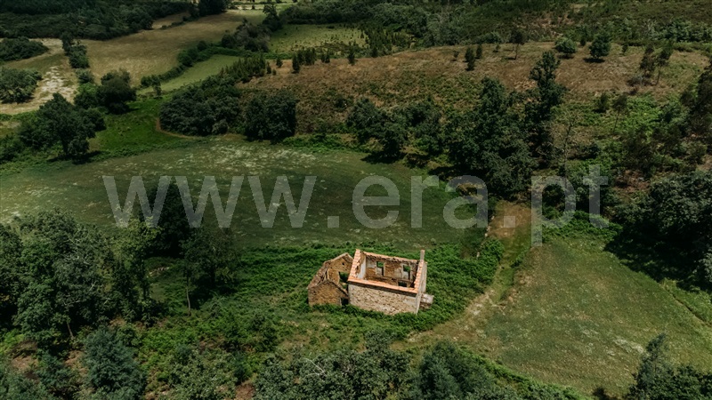 Quinta  Seia, Santiago - 1024023 - 4