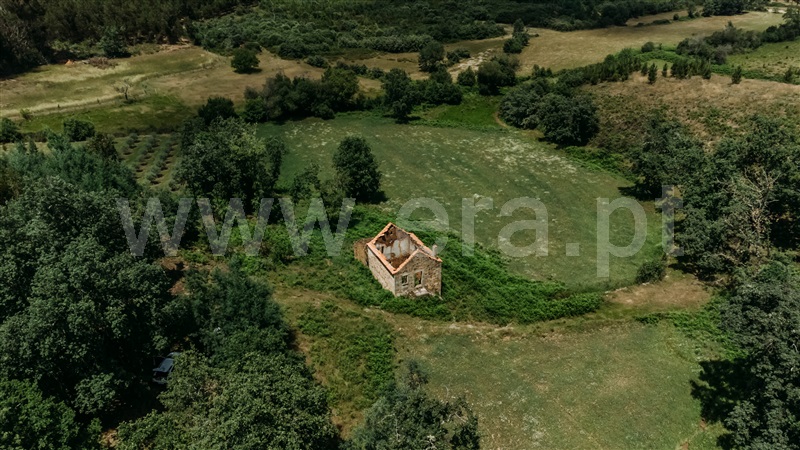 Quinta  Seia, Santiago - 1024023 - 5