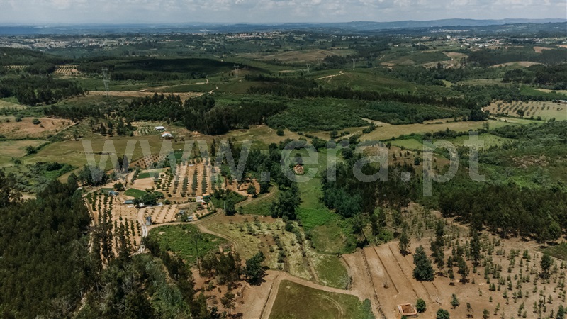 Quinta  Seia, Santiago - 1024023 - 6