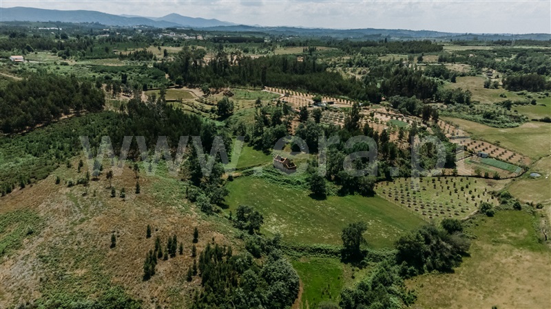 Quinta  Seia, Santiago - 1024023 - 8