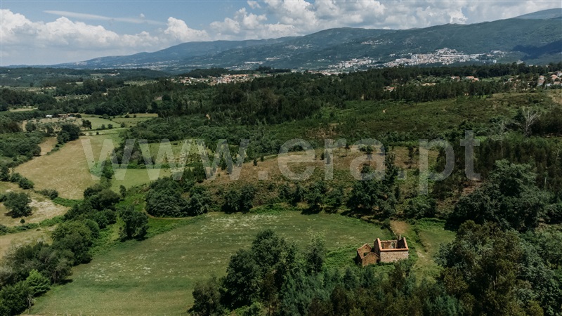 Quinta  Seia, Santiago - 1024023 - 9