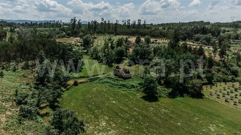 Quinta  Seia, Santiago - 1024023 - 11