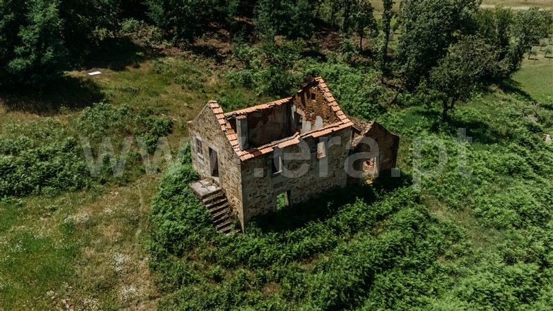 Quinta  Seia, Santiago - 1024023 - 13