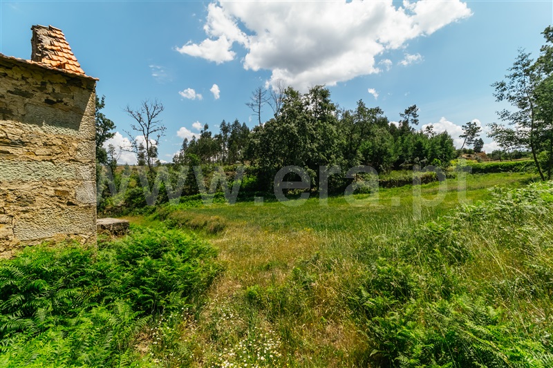 Quinta  Seia, Santiago - 1024023 - 16