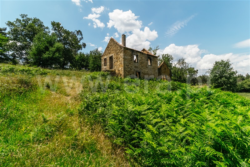 Quinta / Seia, Santiago