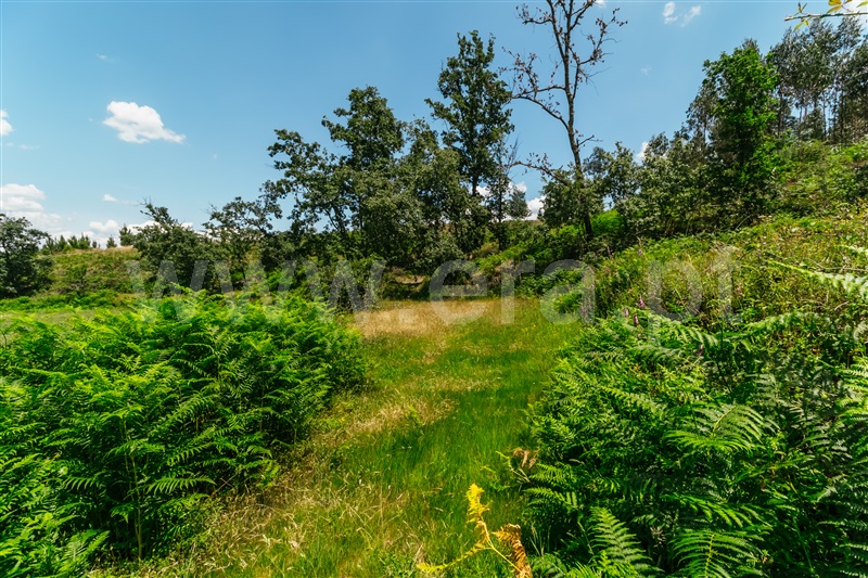 Quinta  Seia, Santiago - 1024023 - 22