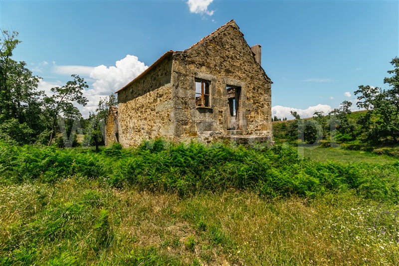 Quinta  Seia, Santiago - 1499627 - 16