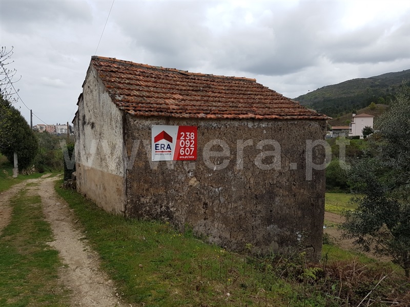 Quinta  Seia, São Romão - 1239153 - 3