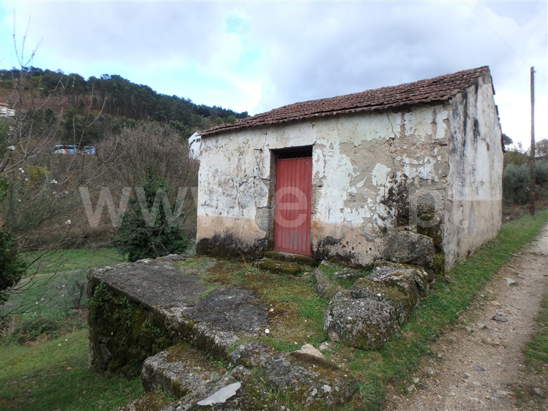 Quinta  Seia, São Romão - 1239153 - 4