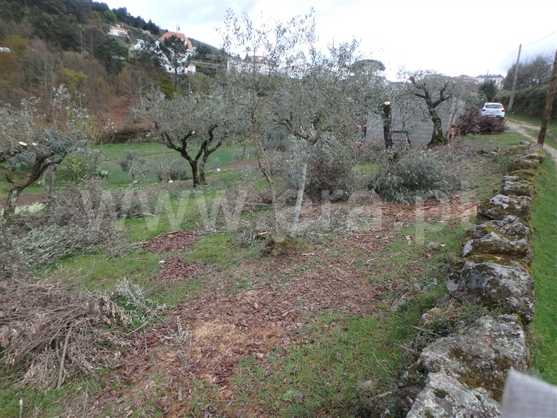 Quinta  Seia, São Romão - 1239153 - 8