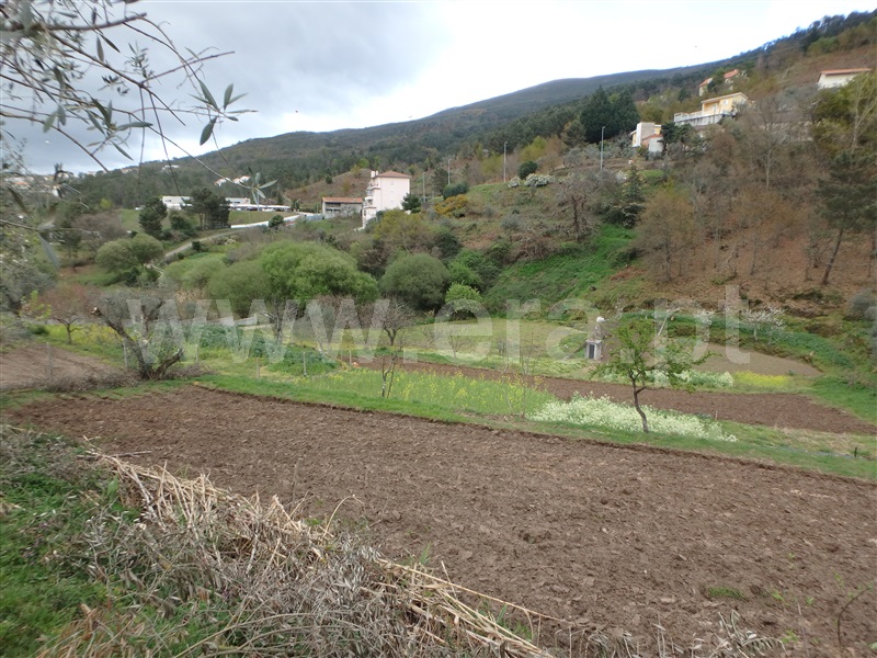 Quinta  Seia, São Romão - 1239153 - 10