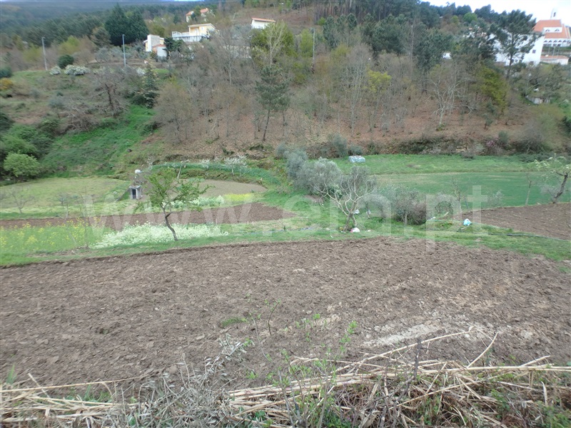 Quinta  Seia, São Romão - 1239153 - 11